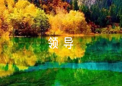 小学生如何开始学习篮球进攻技巧?_0